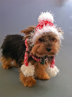 Red and White Dog Hat and Tube Scarf with Pom Pom - Posh Puppy Boutique