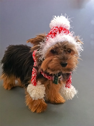 Red and White Dog Hat and Tube Scarf with Pom Pom