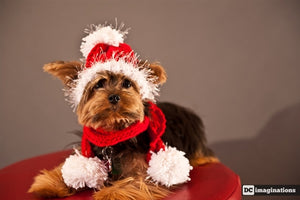 Santa Red Dog Hat and Tube Scarf with Pom Pom - Posh Puppy Boutique