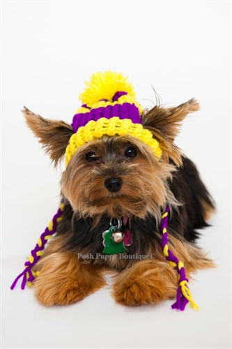 Yellow and Purple Dog Hat