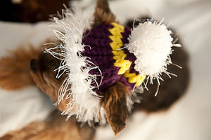 Yellow and Purple Dog Hat with White Fuzzy Trim - Posh Puppy Boutique