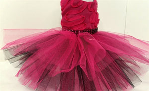 Fuchsia Dazzle Harness Dress - Posh Puppy Boutique