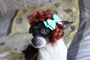 Burgundy Curly Wig with Bow - Posh Puppy Boutique