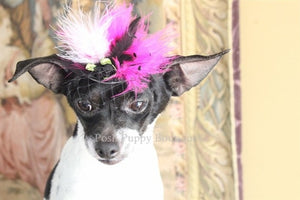 Couture Black Hat with Hot Pink Feathers and Black Flower - Posh Puppy Boutique