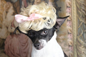 Blond Wig with Baby Pink Bow - Posh Puppy Boutique