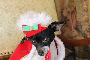 Couture Christmas Feather Hat - Posh Puppy Boutique
