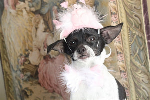 Easter Bunny Hat with Bow - Posh Puppy Boutique