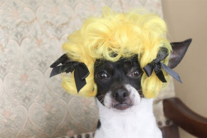 Short Golden Pigtails Wig - Posh Puppy Boutique