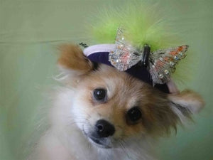 Light Green Feather, Silver Butterfly Purple Hat - Cat or Dog - Posh Puppy Boutique