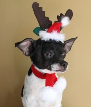 Reindeer Ears Hat - Cat or Dog - Posh Puppy Boutique
