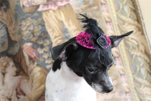 Couture Mini Sparkle Hot Pink Hat - Posh Puppy Boutique