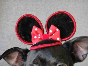 Mini Mouse Hat in Red - Cat or Dog - Posh Puppy Boutique