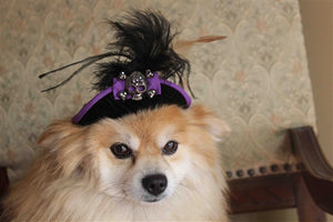 Black Pirate Hat with Black Feather/Purple Trim - Posh Puppy Boutique