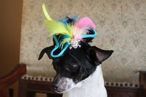Black Pirate Hat with Yellow Teal and Pink Feather - Posh Puppy Boutique