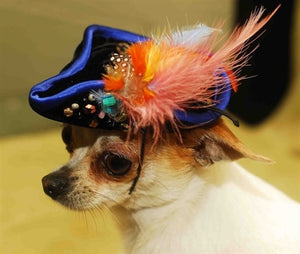 Black Pirate Hat with Blue Trim and Multi Feather - Posh Puppy Boutique
