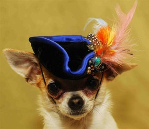 Black Pirate Hat with Blue Trim and Multi Feather - Posh Puppy Boutique