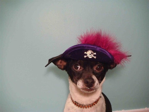 Purple Pirate Hat with Pink Feather