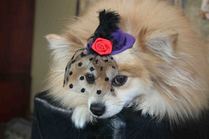 Purple Mini Hat with Veil - Posh Puppy Boutique