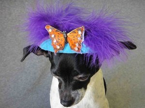 Purple Feather Orange Butterfly Teal Hat - Cat or Dog - Posh Puppy Boutique