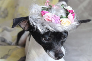 White Wig with Pink Flowers - Posh Puppy Boutique