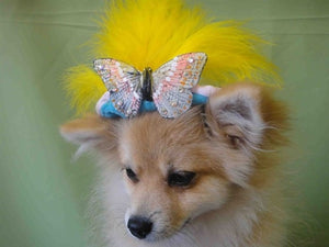 Yellow Feather Butterfly Teal Hat - Cat or Dog - Posh Puppy Boutique