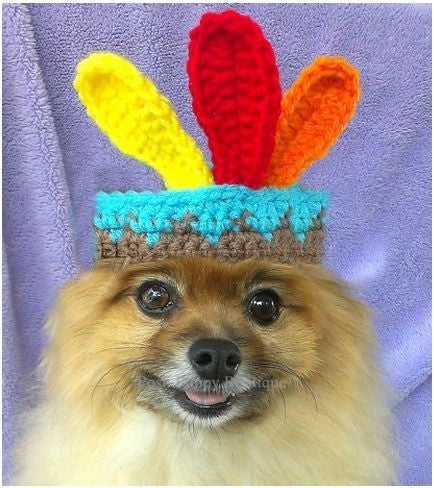 Crochet Indian Beanie Hat