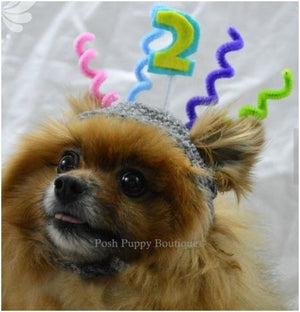 Crochet Birthday Beanie Hat- Custom Number - Posh Puppy Boutique