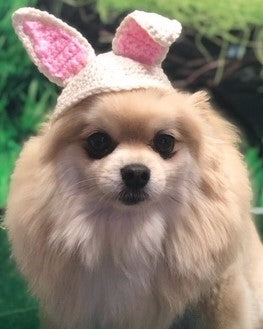Crochet Bunny Ears Easter Beanie Hat