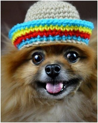 Crochet Sombrero Beanie Hat