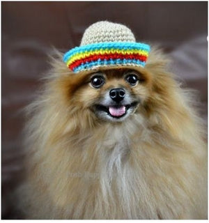 Crochet Sombrero Beanie Hat - Posh Puppy Boutique