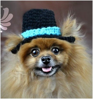 Crochet Top Hat Beanie Hat- Many Colors - Posh Puppy Boutique
