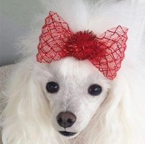 Glitterazzi Hair Bow - Posh Puppy Boutique
