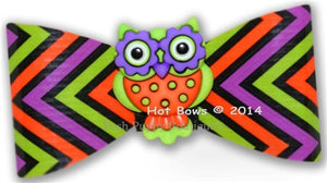 Halloween Whooo Hair Bow - Posh Puppy Boutique