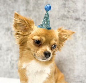 Pooch Party Hat in Blue - Posh Puppy Boutique
