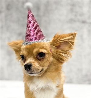 Pooch Party Hat in Pink - Posh Puppy Boutique