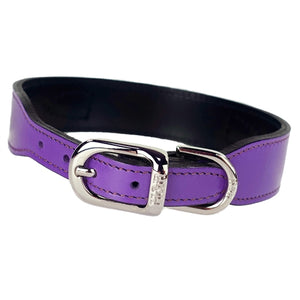Barclay Collar in Lavender - Posh Puppy Boutique