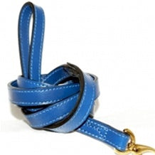 Daisy Dog Collar - Cobalt Blue - Posh Puppy Boutique