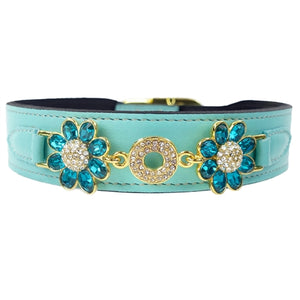 Daisy Dog Collar in Turquoise & Gold - Posh Puppy Boutique