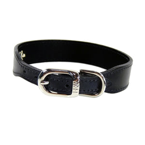 BELMONT Style Dog Collar in Jet Black & Nickel - Posh Puppy Boutique