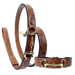 BELMONT Style Dog Collar in Ostrich & Gold - Posh Puppy Boutique