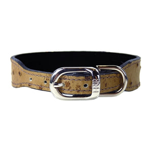 BELMONT Style Dog Collar in Ostrich & Nickel - Posh Puppy Boutique
