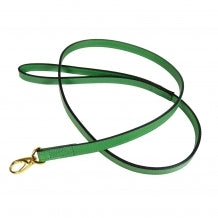 BELMONT Style Dog Collar in Kelly Green - Posh Puppy Boutique