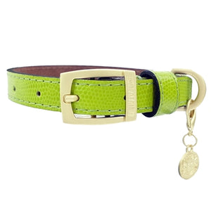 Park Avenue Dog Collar in Lime Green - Posh Puppy Boutique