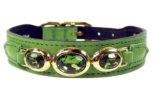 Regency Collar in Lime Green - Posh Puppy Boutique