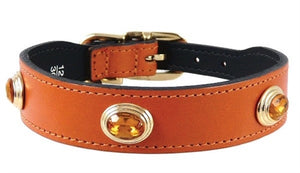 The Royal Collection Dog Collar in Tangerine - Posh Puppy Boutique