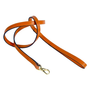 The Royal Collection Dog Collar in Tangerine - Posh Puppy Boutique
