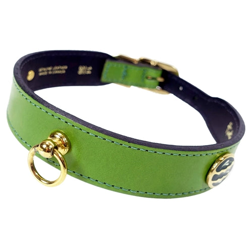 St. Tropez Collection Dog Collar in Lime Green