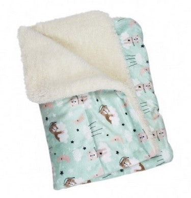 Ultra Soft Minky-Plush Bedtime Bear Blanket
