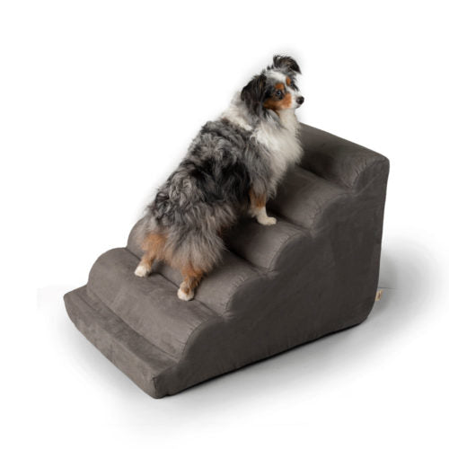 Scalloped Dog Ramp Steps in Many Colors