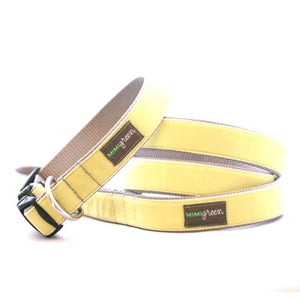 Gucci Style Dog Collar in Kelly Green - Collars Hartman and Rose Collection  Dog Collars Posh Puppy Boutique